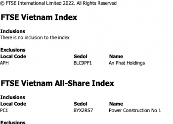 FTSE Vietnam Index đưa APH ra khỏi danh mục trong kỳ cơ cấu quý 2/2022 - Ảnh 1.
