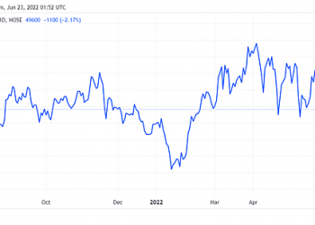 Gemadept sẽ phát hành hơn 100 triệu cổ phiếu cho cổ đông hiện hữu với giá 20.000 đồng/cp - Ảnh 1.