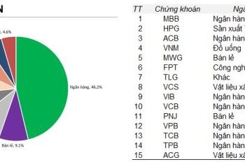 Giảm mạnh tỷ trọng cổ phiếu HPG, quỹ đầu tư của SGI Capital vẫn ghi nhận hiệu suất âm tháng thứ 2 liên tiếp - Ảnh 1.