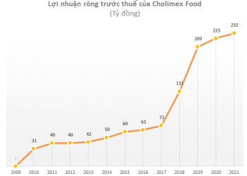Giúp bữa ăn hàng triệu gia đình thêm đậm đà, hai đại gia tương ớt, nước mắm thu lãi cả chục nghìn tỷ - Ảnh 1.