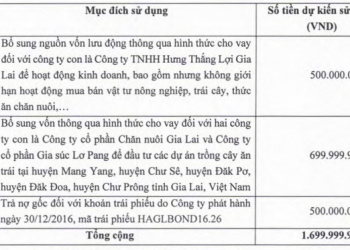 HAGL điều chỉnh nhẹ phương án hào bán huy động 1.700 tỷ đồng trong năm 2022, nhấn mạnh thứ tự ưu tiên vốn - Ảnh 1.