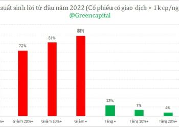 Hiệu suất đầu tư của hơn 1.000 mã chứng khoán trên thị trường từ đầu năm tới nay ra sao? - Ảnh 1.