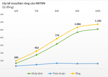 Khối ngoại tiếp đà mua ròng, cổ phiếu nào được quan tâm nhất? - Ảnh 1.