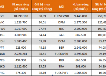 Khối tự doanh mua ròng trở lại hơn 250 tỷ đồng trong tuần 20-24/6 - Ảnh 1.