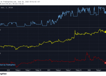 Không phải Traphaco hay Dược Hậu Giang, cổ phiếu một doanh nghiệp chuyên về thuốc Nam có thị giá cao nhất ngành, cổ tức tiền mặt đều như vắt tranh - Ảnh 1.