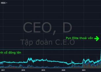 Những khoản đầu tư làm nên tên tuổi của Pyn Elite Fund: Lãi hàng nghìn tỷ với CEO và MWG, ngậm ngùi cắt lỗ HUT - Ảnh 1.