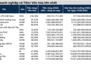 Lãi suất tăng, doanh nghiệp dự trữ nguồn tiền mặt dồi dào và ít vay nợ kỳ vọng hưởng lợi lớn - Ảnh 1.