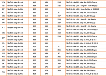 Lịch chốt quyền cổ tức, thưởng cổ phiếu tuần 13/6 - 17/6 - Ảnh 1.