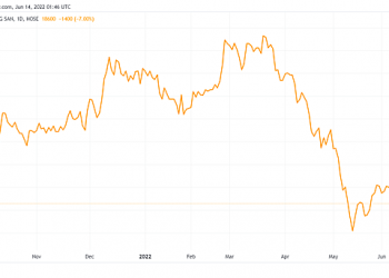Một cá nhân sở hữu hơn 18 triệu cổ phần Dat Xanh Services - Ảnh 1.