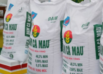 Một cổ phiếu phân bón được khối ngoại mua ròng 10 tháng liên tiếp