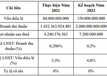 Một cổ phiếu xăng dầu chào sàn UPCoM ngày 17/6 với giá 11.000 đồng - Ảnh 1.