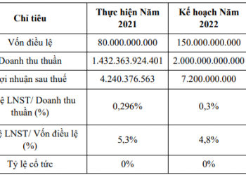 Một cổ phiếu xăng dầu chuẩn bị lên sàn UPCoM - Ảnh 1.
