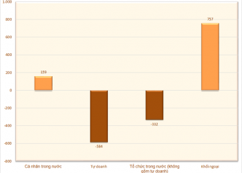 Nhà đầu tư cá nhân mua ròng tuần thứ 3 liên tiếp, tổ chức trong nước nối dài chuỗi bán ròng - Ảnh 1.