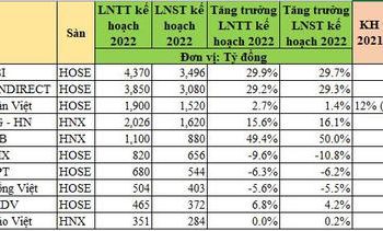 Nhiều công ty chứng khoán đặt kế hoạch kinh doanh năm 2022 thận trọng - Ảnh 1.