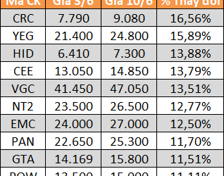 10 cổ phiếu tăng/giảm mạnh nhất tuần: Nhiều mã đầu cơ lao dốc - Ảnh 1.
