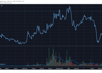 Lộ diện những cổ phiếu ngược dòng tăng điểm trong tháng Sell in May: Quán quân bứt phá gần 65%, duy nhất một bluechips lọt TOP tăng mạnh nhất sàn HoSE - Ảnh 1.