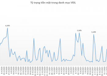 Quỹ lớn nhất do Dragon Capital quản lý (VEIL) đã giải ngân 1.650 tỷ đồng sau khi đẩy lượng tiền mặt lên đỉnh - Ảnh 1.
