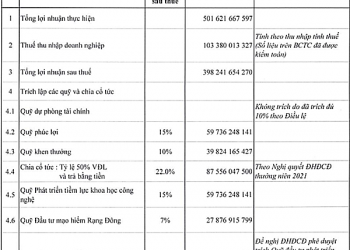 Rạng Đông trình kế hoạch cổ tức năm 2021 tỷ lệ 50% bằng tiền - Ảnh 1.