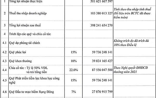 Rạng Đông trình kế hoạch cổ tức năm 2021 tỷ lệ 50% bằng tiền - Ảnh 1.
