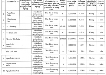 Sacombank SBS sẽ chào bán 150 triệu cổ phiếu cho 10 cá nhân - Ảnh 1.