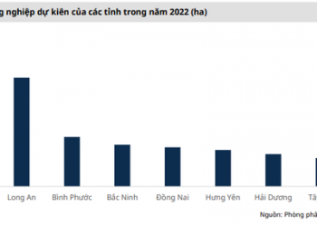 Sau cơn mưa trời lại sáng, triển vọng nhiều nhóm ngành tích cực nhờ nhu cầu phục hồi hậu COVID-19 - Ảnh 1.
