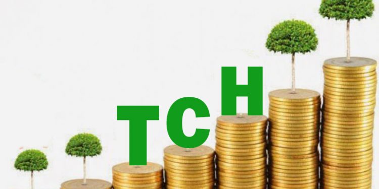 TCH: Đại gia bất động sản Hải Phòng có 8.700 tỷ tiền gửi trong khi vốn hóa chỉ còn 6.600 tỷ