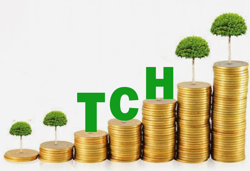TCH: Đại gia bất động sản Hải Phòng có 8.700 tỷ tiền gửi trong khi vốn hóa chỉ còn 6.600 tỷ