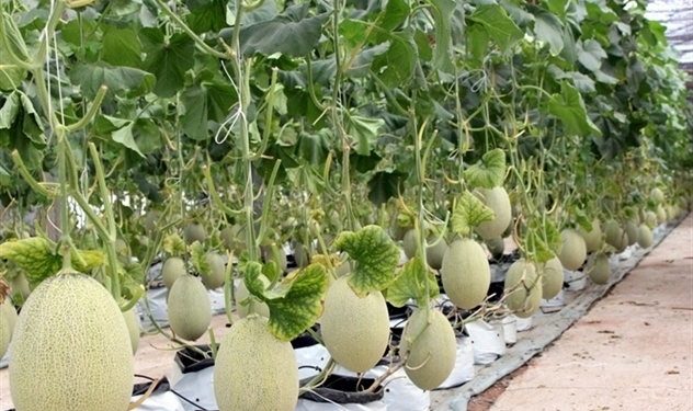 The PAN Group khởi động phương án tăng vốn lên hơn 4.100 tỷ đồng - Ảnh 1.