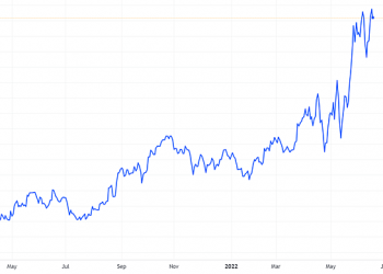 Thêm hơn 46 triệu cổ phiếu REE giao dịch từ ngày 28/6 - Ảnh 1.