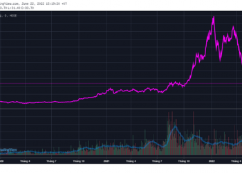 Thị giá cổ phiếu DIG chỉ còn 1/3 so với đỉnh, vốn hóa mất đi gần 2 tỷ USD - Ảnh 1.