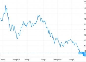 Thị giá giảm gần 70% DIC Group yêu cầu cung cấp danh sách cổ đông trong vòng nửa tháng qua - Ảnh 1.
