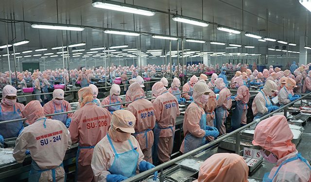 Thủy sản Minh Phú lên kế hoạch thưởng cổ phiếu tỷ lệ 100% - Ảnh 1.