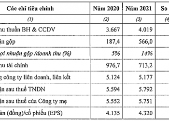 VEAM trình kế hoạch cổ tức 2021 tỷ lệ 40% bằng tiền - Ảnh 1.