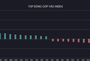 VN-Index đảo chiều tăng nhẹ, thanh khoản 3 sàn trở lại ngưỡng tỷ USD - Ảnh 1.