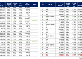VNM ETF sẽ mua bán cổ phiếu ra sao trong kỳ cơ cấu tháng 6? - Ảnh 1.