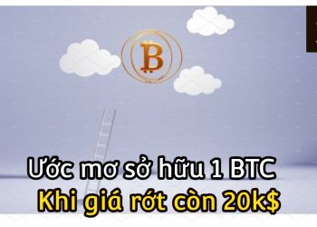 ViMoney-BTC