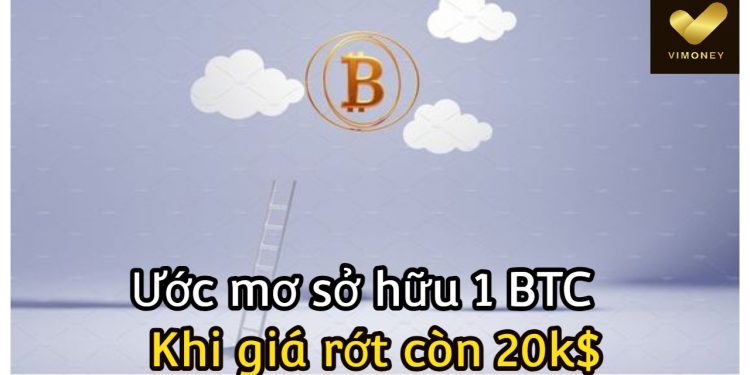 ViMoney-BTC