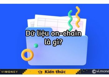 ViMoney-Dữ liệu on-chain