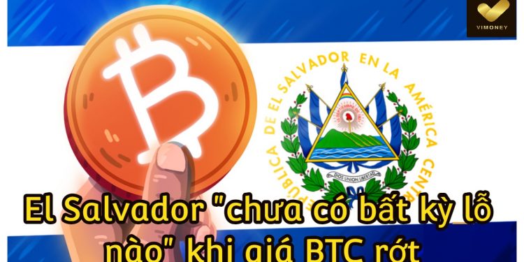 ViMoney- El Salvador