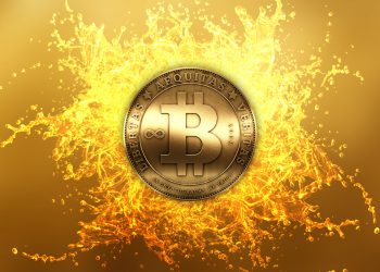 Nhà đầu tư Bitcoin dài hạn còn phải chịu lỗ ít nhất 2 năm nữa