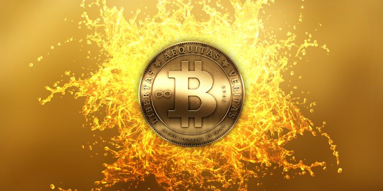 Nhà đầu tư Bitcoin dài hạn còn phải chịu lỗ ít nhất 2 năm nữa