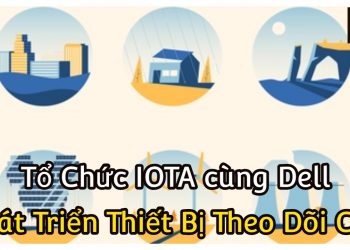 ViMoney-Tổ chức IOTA