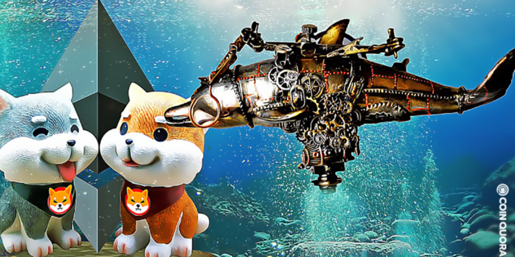 Bắt đúng điểm rơi, tập đoàn cá voi “gom” Shiba Inu