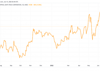 Viconship chốt quyền cổ tức năm trước bằng cổ phiếu tỷ lệ 10% - Ảnh 1.