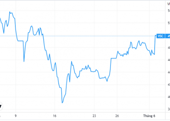 Viconship sẽ trả cổ tức cổ phiếu 2021 vào quý II hoặc III - Ảnh 1.