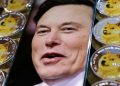 Thảm họa Dogecoin? Elon Musk đối mặt với đơn kiện 258 tỷ USD vì mô hình kim tự tháp Dogecoin