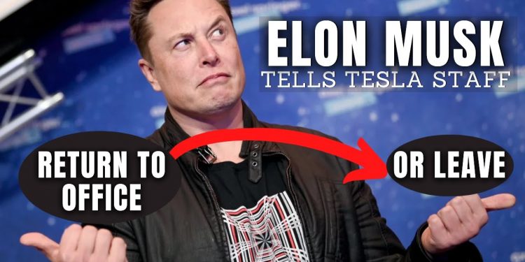 Elon Musk đưa ra tối hậu thư: Nhân viên Tesla hoặc quay lại văn phòng hoặc từ chức!
