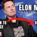 Elon Musk đưa ra tối hậu thư: Nhân viên Tesla hoặc quay lại văn phòng hoặc từ chức!
