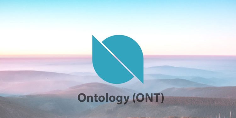 Ontology là gì? Giải pháp dữ liệu và nhận dạng phi tập trung