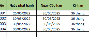 VinFast đã huy động thêm 2.000 tỷ đồng trái phiếu, Vingroup bảo lãnh nghĩa vụ thanh toán - Ảnh 1.